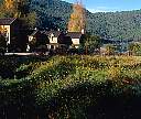2178-71.jpg