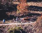 2180-41.jpg