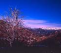 2181-49.jpg