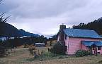 2194-65.jpg