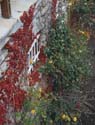 2195-41.jpg