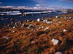 2237-44.jpg